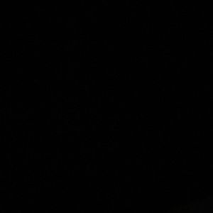 Meet your Posher, Randall